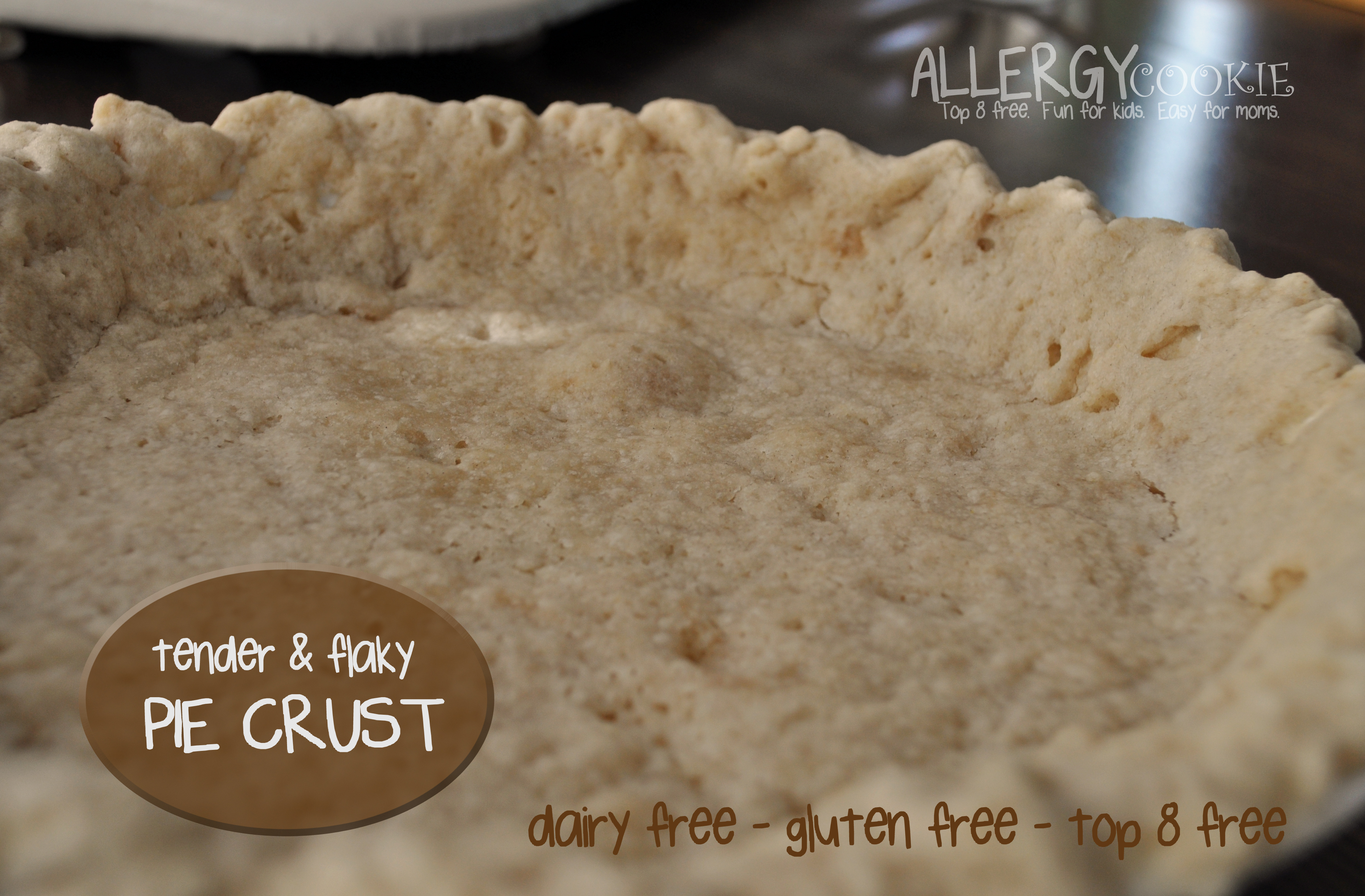 The Perfect Pie Crust (gluten free, vegan, top 8 free)