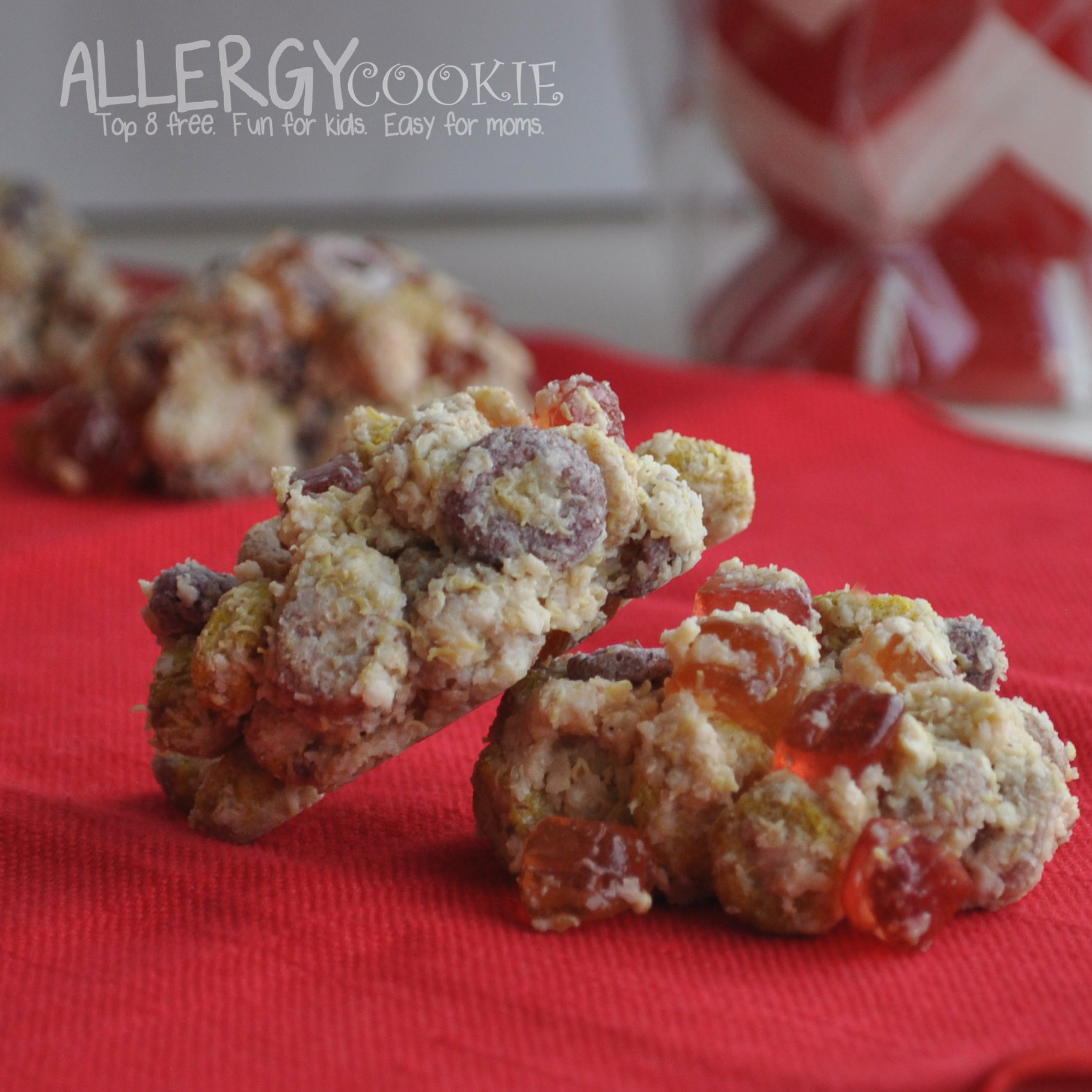 Fruity No Bake Cookies (gluten free, vegan, top 8 free)