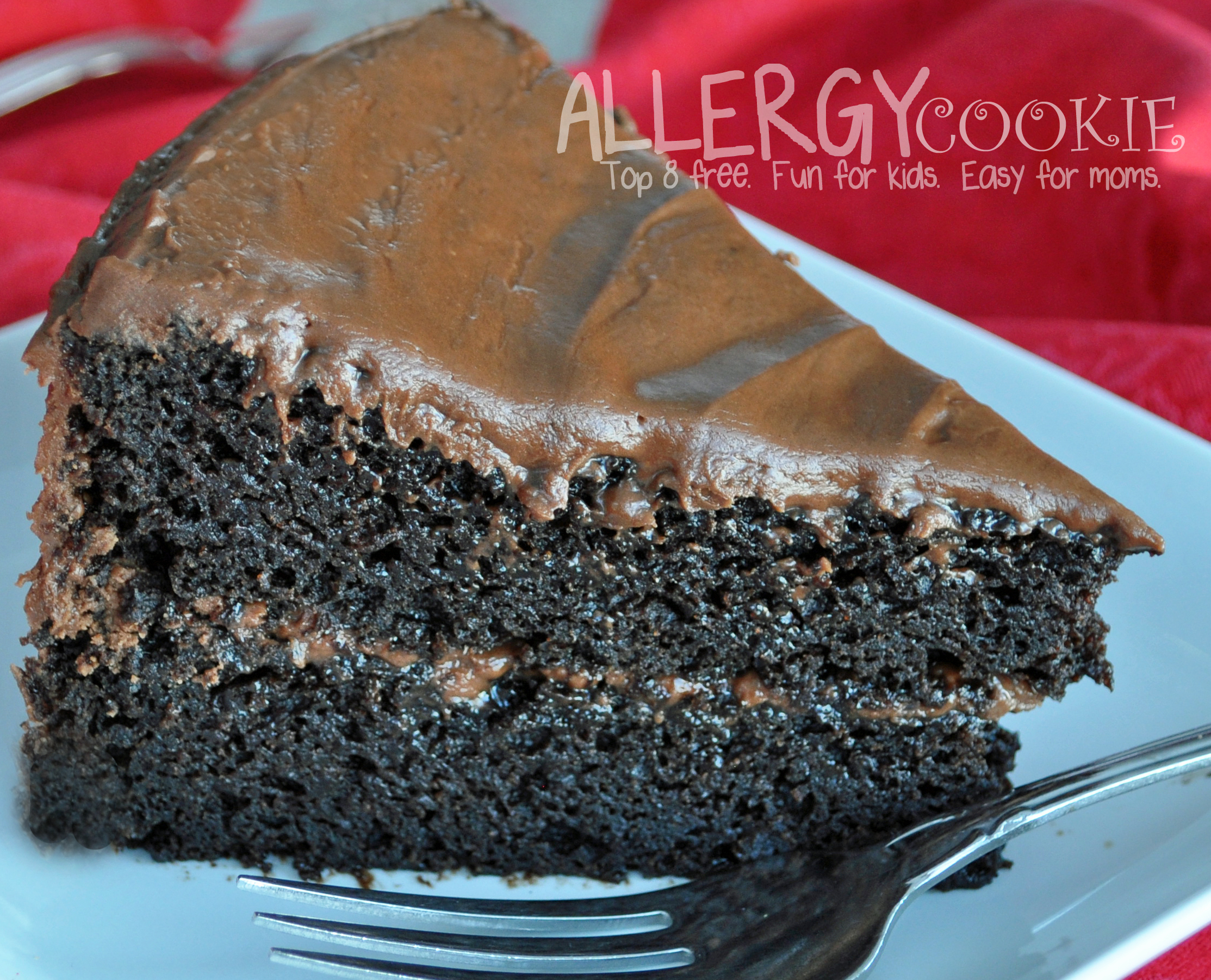Read more about the article Moist, Dense, Decadent Chocolate Cake
