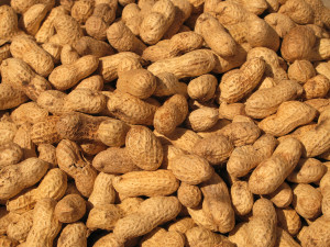 peanuts