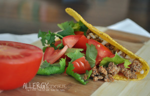 Read more about the article Taco Seasoning Recipe