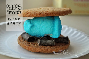 Read more about the article Gooey Peeps Smores Video