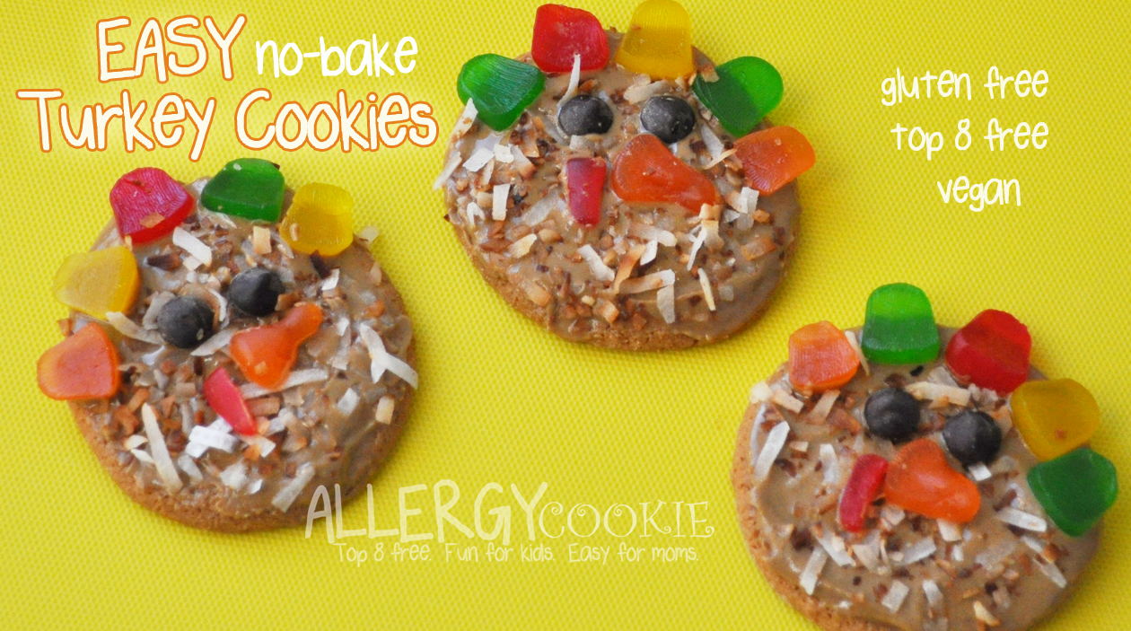 You are currently viewing Easy Turkey No Bake Cookies