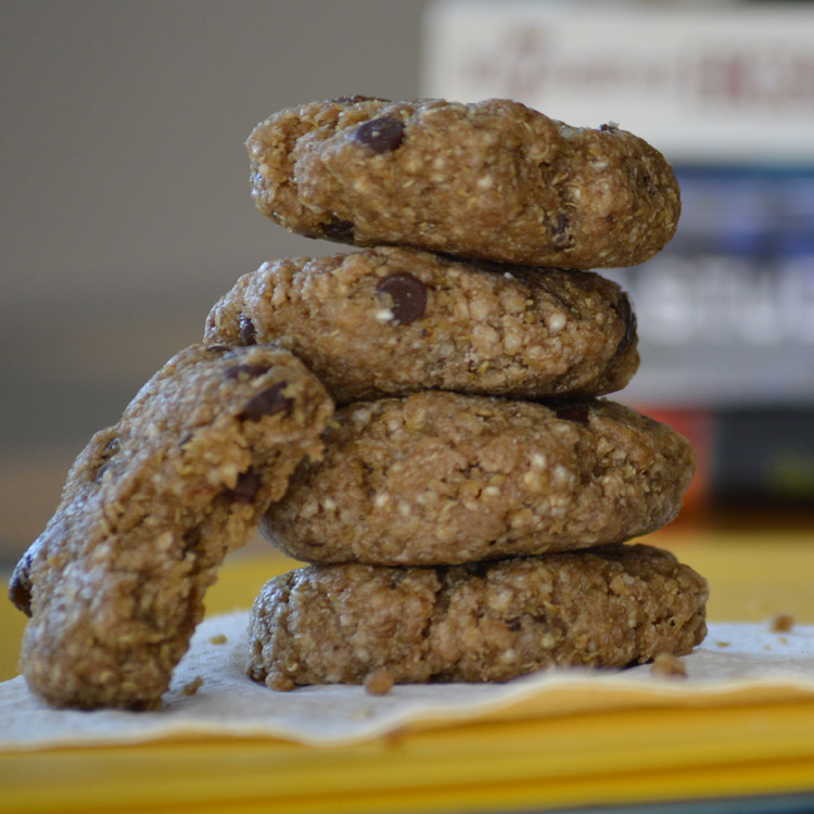 Rule-Breaking Back to School Breakfast Cookies {gluten free, vegan, top8free}