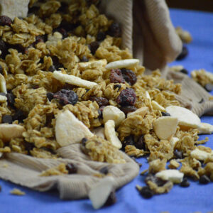 Read more about the article Two-Ingredient Trail Mix Granola